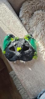 "Katten" masker (cosplay), Ophalen of Verzenden, Zo goed als nieuw, Accessoires