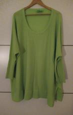 Trui met Glitter van Reinders, Kleding | Dames, Reinders, Verzenden, Maat 46/48 (XL) of groter, Zo goed als nieuw