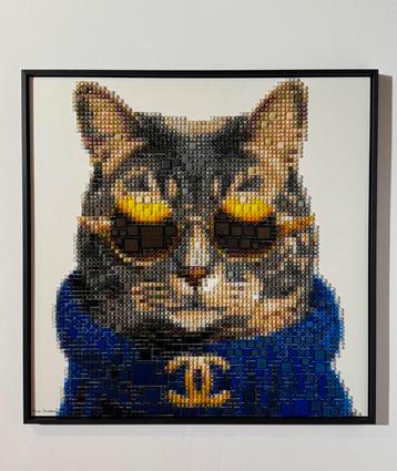 ‘CAT CHANEL’ Tessa Qwartz beschikbaar voor biedingen