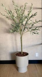 Nieuw Kunst Olijfboompje (zonder pot), Huis en Inrichting, Ophalen, Nieuw