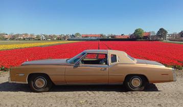 Cadillacs te koop en te huur van de Cadillac Club Nederland beschikbaar voor biedingen