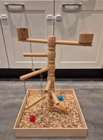 vogelspeelplaats te koop!, Mannelijk