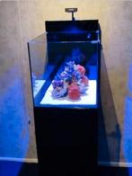 Aquarium Nieuw nog nooit gebruikt!! Nieuwprijs €750,-, Dieren en Toebehoren, Vissen | Aquaria en Toebehoren, Ophalen, Nieuw, Leeg aquarium