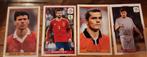 4 panini plaatjes EK 2012, Verzamelen, Ophalen of Verzenden, Zo goed als nieuw, Buitenlandse clubs, Poster, Plaatje of Sticker