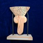 Gay gimmick, Ophalen of Verzenden