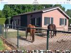 Paardenbox, Stalling, 2 of 3 paarden of pony's