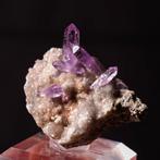 Amethist uit Osilo, Sardinië, Ophalen of Verzenden, Mineraal