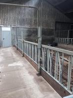 Jongvee voerhekken/voerhek, Dieren en Toebehoren, Stalling en Weidegang