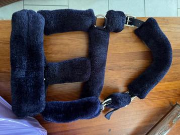 Bont halster blauw full  beschikbaar voor biedingen
