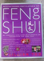 Lillian Too - Geïllustreerde encyclopedie van Feng Shui, Ophalen of Verzenden, Zo goed als nieuw, Achtergrond en Informatie