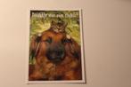 Katten Postkaart - Kitten houdt zich op Hoofd van Hond vast, Verzamelen, Ansichtkaarten | Dieren, Ongelopen, Verzenden, 1980 tot heden