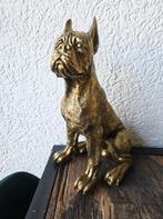 Groot hondenbeeld – Boxer in Inca goud, Ophalen of Verzenden, Zo goed als nieuw, Dier