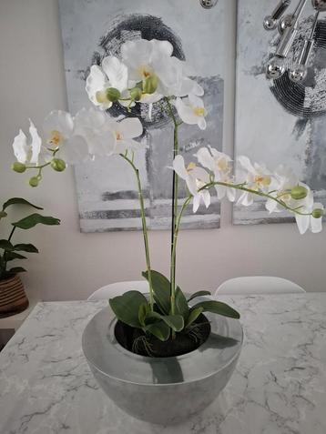 Grote Zilveren Bloempot met Kunst Orchidee beschikbaar voor biedingen