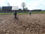 Freestyle instructie/longeerlessen aangeboden, Paardrijles of Ponykampen