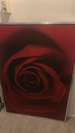 Rose schilderij, Antiek en Kunst, Ophalen