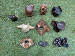 Fossiele wervels mammoet, wissent , paard enz pleistoceen, Verzamelen, Mineralen en Fossielen, Ophalen of Verzenden, Fossiel