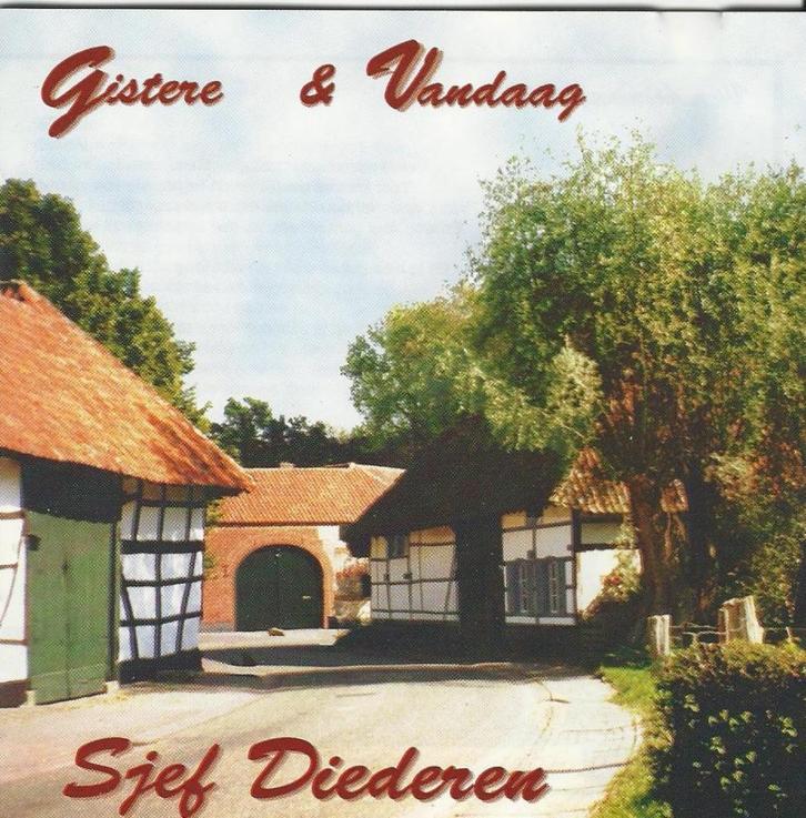 Limburg : Sjef Diederen - Gistere & vandaag = 9,99, Cd's en Dvd's, Cd's | Nederlandstalig, Zo goed als nieuw, Streekmuziek, Ophalen of Verzenden