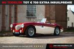 Austin Austin-healey 100M | Is not a factory-built 100M (inc, Auto's, Austin, 2621 cc, Gebruikt, Huisgarantie, Bedrijf