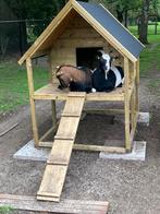 geitenhok voor dwerggeitjes, Dieren en Toebehoren, Nieuw, Geitenhokken, Ophalen