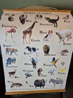 Poster dieren alfabet, Ophalen, Natuur en Biologie