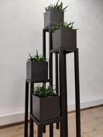 Planten standaard industrieel staal, Minder dan 60 cm, Rond, Nieuw, Ophalen of Verzenden