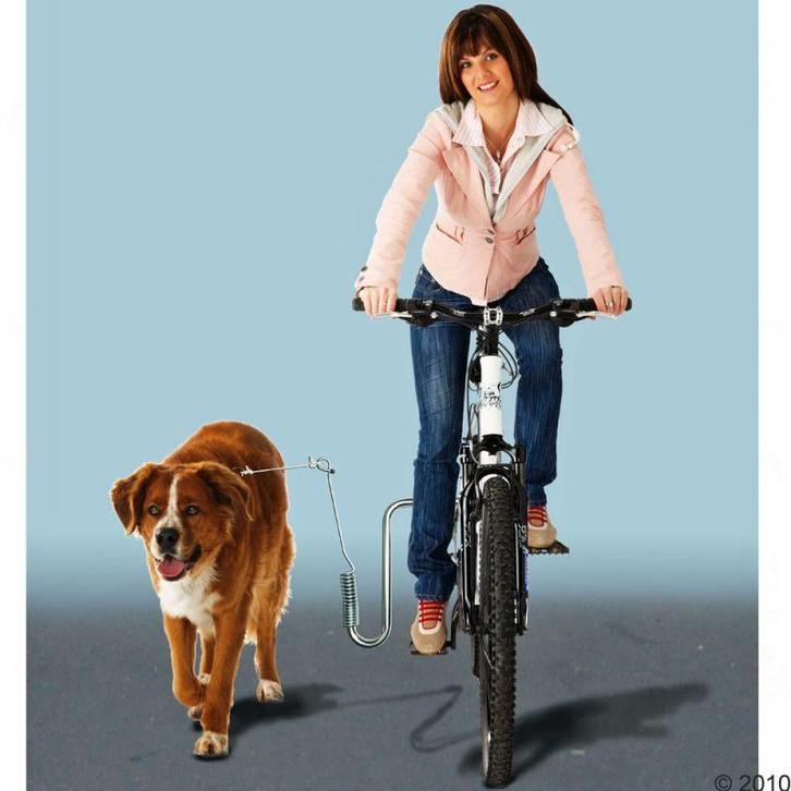 fietsbeugel voor hond, Dieren en Toebehoren, Honden-accessoires, Nieuw, Ophalen of Verzenden