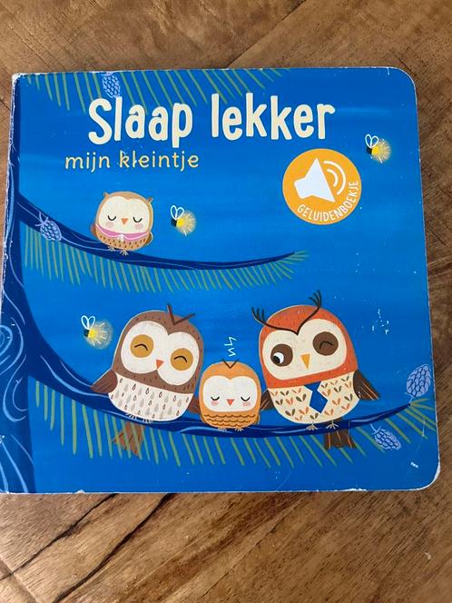 Slaap lekker! Geluidenboekje, Boeken, Kinderboeken | Jeugd | onder 10 jaar, Gelezen, Ophalen of Verzenden