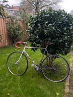 Giant Racefiets - Vintage Sugino MP110, Fietsen en Brommers, Fietsen | Racefietsen, Ophalen, Gebruikt, Staal, Heren
