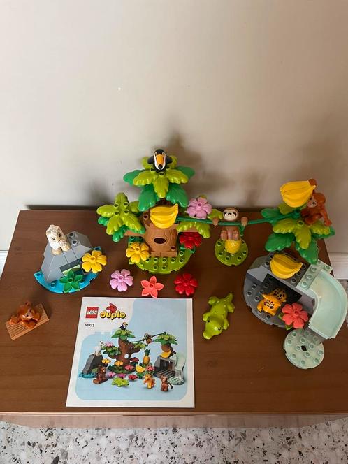 Diversen DUPLO sets, waaronder Disney, Kinderen en Baby's, Speelgoed | Duplo en Lego, Zo goed als nieuw, Duplo, Ophalen of Verzenden
