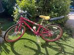 Meisjes mountainbike Raleigh, Ophalen, Gebruikt, Aluminium, 24 inch of meer