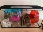 Hamsterhok glas, Dieren en Toebehoren, Knaagdieren en Konijnen | Hokken en Kooien, 75 tot 110 cm, Ophalen, Minder dan 60 cm, Hok