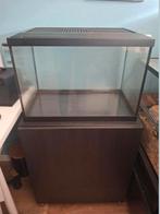 Aquarium/ terrarium incl kast, Dieren en Toebehoren, Vissen | Aquaria en Toebehoren, Ophalen, Zo goed als nieuw, Leeg aquarium