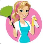 Schoonmaker, Vacatures, Overige vormen