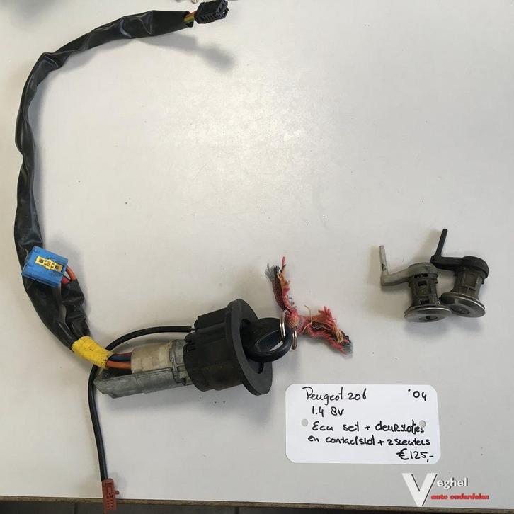 Peugeot 206 1.4 8v 2004   Ecu Set  , ECU , BSI , zekeringkas, Auto-onderdelen, Carrosserie en Plaatwerk, Gebruikt, Ophalen of Verzenden