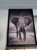 Canvas Schilderij - Olifant, Ophalen of Verzenden