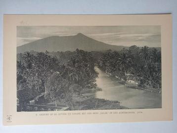 Lichtdruk Java, Nederlands Indië ca. 1910 beschikbaar voor biedingen