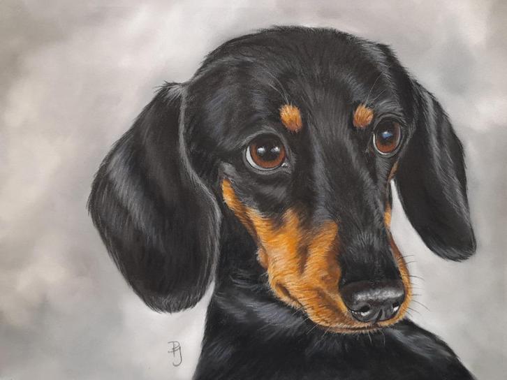 Schilderij teckel met lijst - eigen werk - origineel cadeau, Huis en Inrichting, Woonaccessoires | Schilderijen, Tekeningen en Foto's