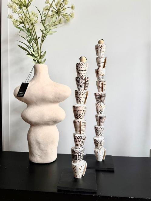 Set Van 3 Schelpen Op Voet Schelp Natuur, Huis en Inrichting, Woonaccessoires | Overige, Nieuw, Ophalen of Verzenden