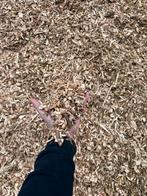 Essen houtsnippers, Ophalen of Verzenden, Zo goed als nieuw, Bruin, Overige typen