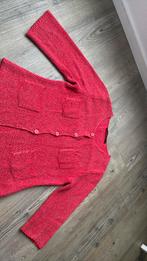 gebreid vest Natan maat 2 of maat 38, Kleding | Dames, Truien en Vesten, Ophalen of Verzenden, Zo goed als nieuw, Maat 38/40 (M)