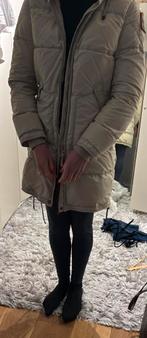 Parajumpers Long Bear Jas - Beige, Kleding | Dames, Beige, Maat 36 (S), Gedragen, Parajumpers