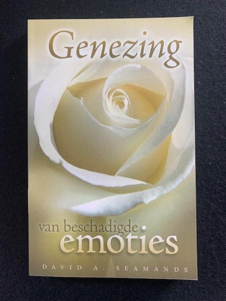 Genezing van beschadigde emoties; D.A. Seamands, Boeken, Godsdienst en Theologie, Zo goed als nieuw, Verzenden