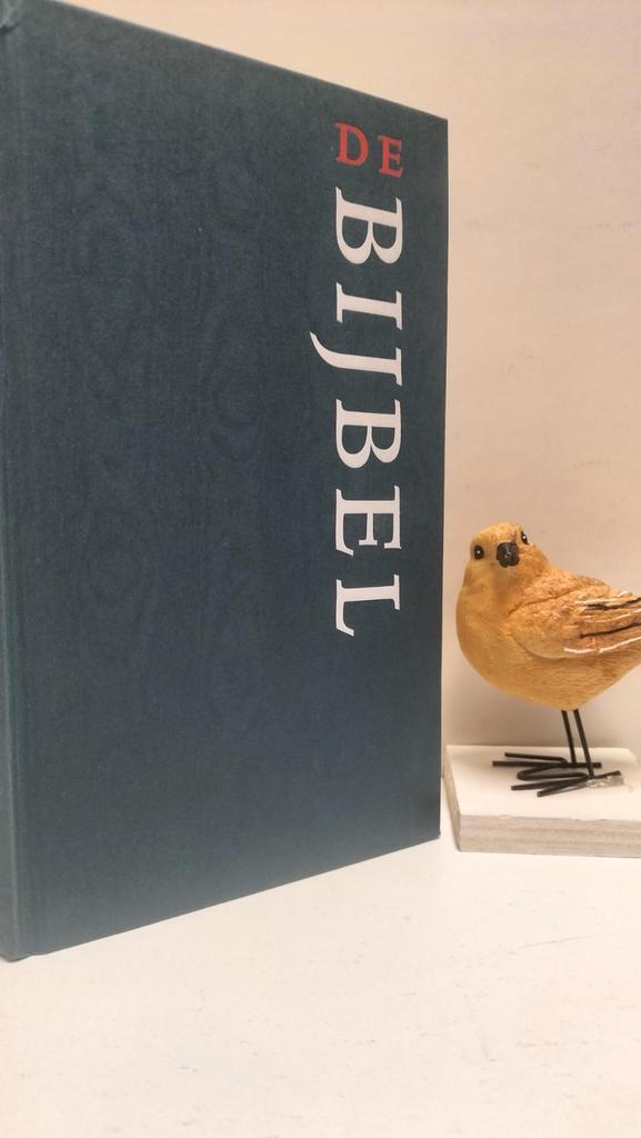 Bijbel, Nieuwe Bijbelvertaling (Querido/Jongbloed), Boeken, Godsdienst en Theologie, Gelezen, Christendom | Katholiek, Christendom | Protestants