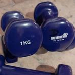 Bremshey vinyl Dumbells, Ophalen of Verzenden, Zo goed als nieuw, Kettlebell