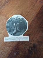 Knipsel zeeleeuwen in tuin Boneski Rotterdam 1909, Ophalen of Verzenden, Voor 1920, Knipsel(s)