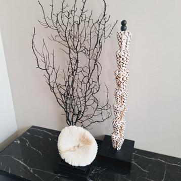 Gave set luxe woonaccessoires zeegras ornament schelpentoren beschikbaar voor biedingen