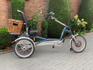 Van Raam Easy Rider - Silent Elektro-Uitneem Lithiumion Accu beschikbaar voor biedingen