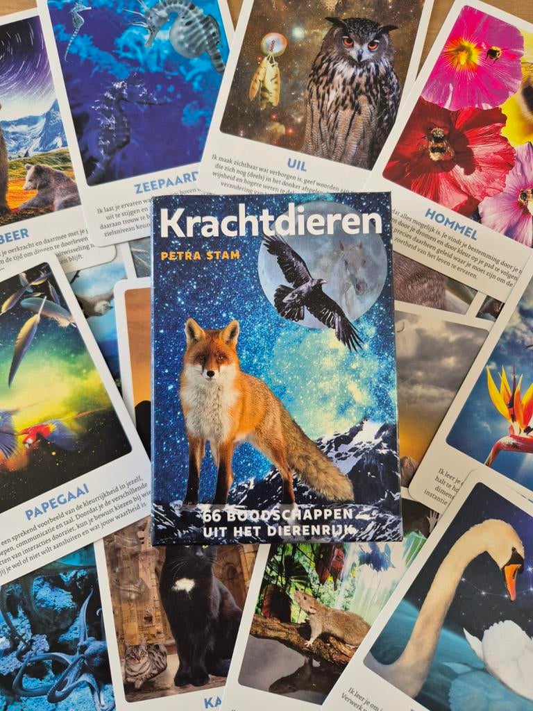 Krachtdieren Petra Stam - 66 boodschappen, Spiritualiteit algemeen, Petra Stam, Overige typen, Ophalen of Verzenden