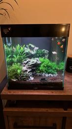 Ciano Emotions Pro (52L) + vele extra's, Dieren en Toebehoren, Ophalen of Verzenden, Zo goed als nieuw, Leeg aquarium