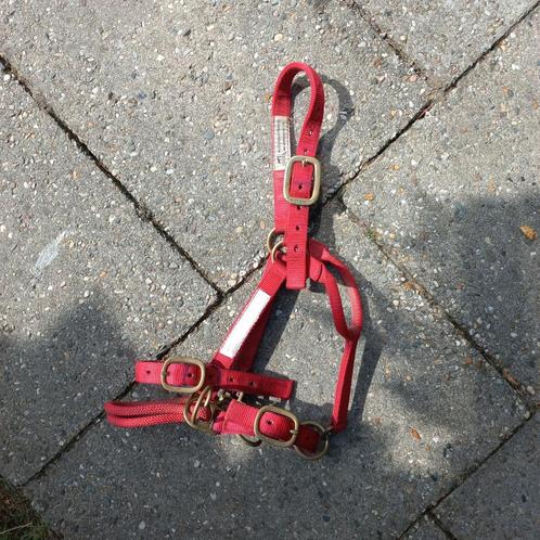 Monty Roberts Dually halster pony. In goede staat, Dieren en Toebehoren, Paarden en Pony's | Hoofdstellen en Tuigage, Zo goed als nieuw